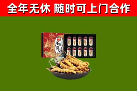 门源回收冬虫夏草价格